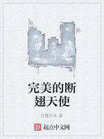 完美的斷翅天使 完美的斷翅天使