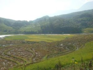 南榨河自然村 南榨河自然村