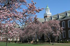 約翰•霍普金斯大學