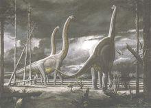 腕龍[蜥形綱動物]