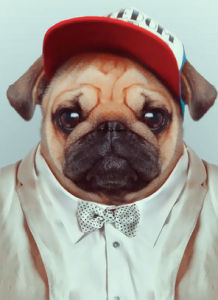 衣冠楚楚 衣冠楚楚