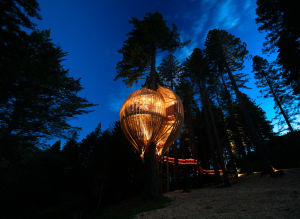 兒時夢想 兒時夢想