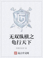 無雙縱橫之龜行天下 無雙縱橫之龜行天下