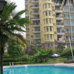 南湖中央花園 南湖中央花園