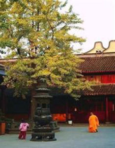 龍華寺[雲南姚安龍華寺]