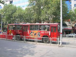 （圖）綠色交通