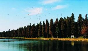 淥洋湖生態旅遊度假村