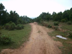 大波羅村 大波羅村