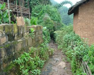 中芒令自然村 中芒令自然村