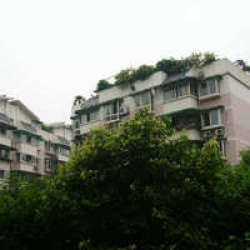 九里欣園 九里欣園