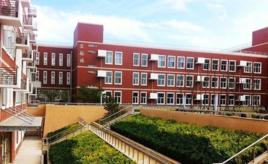 2015北京朝陽區中國小大整合 2015北京朝陽區中國小大整合