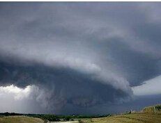 自然發生 自然發生