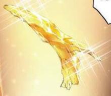 萬年空明魔豹左腿骨