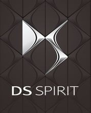 DS logo