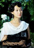 暴雨梨花[2006年王晶執導電視劇]