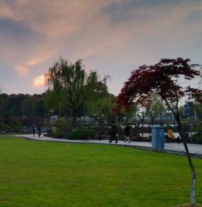 索山公園 索山公園