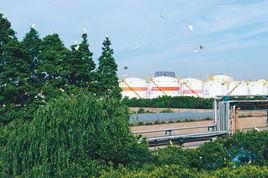 讓白鷺告訴你 讓白鷺告訴你