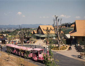 湯之川溫泉 湯之川溫泉