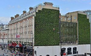 倫敦維多利亞車站垂直花園