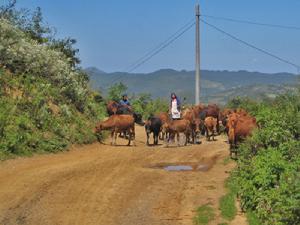 （圖）小草壩鄉