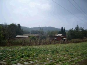 豹子寨自然村 豹子寨自然村