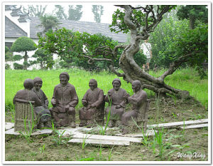 如皋東方大壽星園美景如畫