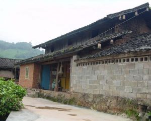 龍洞河村 龍洞河村