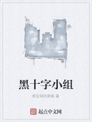 黑十字小組 黑十字小組