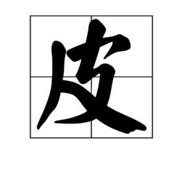 皮[漢語漢字]