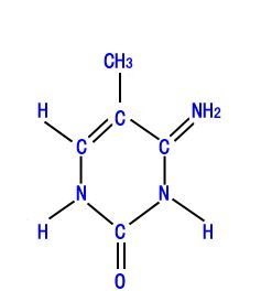 DNA純系化 DNA純系化