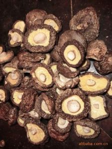 西峽香菇 西峽香菇