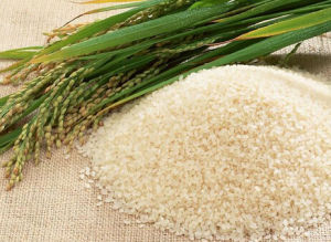 營口大米 營口大米