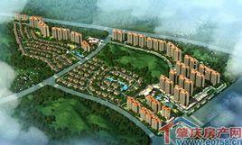 雲浮碧桂園 雲浮碧桂園