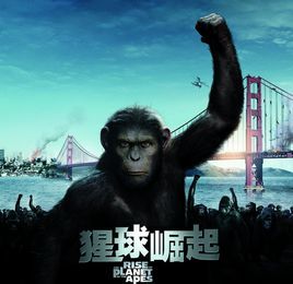 猩猩電影 猩猩電影