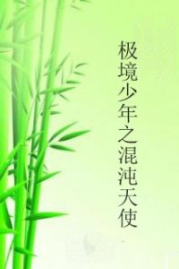 極境少年之混沌天使 極境少年之混沌天使