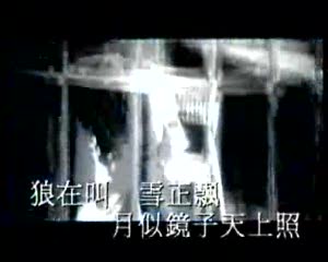 《望月》 - 張學友