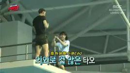 Star Diving Show Splash Star Diving Show Splash