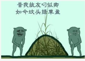 墳頭草