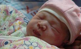 11·20男嬰火化復活事件 11·20男嬰火化復活事件