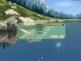 仿真釣魚 仿真釣魚