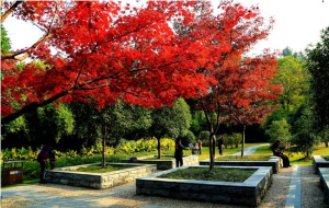 武漢市園林科普公園