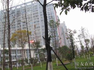 中聯花園 中聯花園