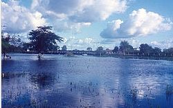 潘塔納爾保護區 潘塔納爾保護區