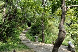 勝美尖古道 勝美尖古道