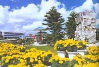 三七之鄉 三七之鄉