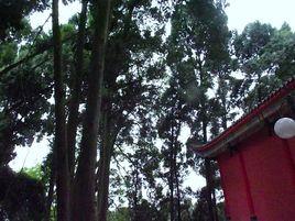 崴螺山森林公園 崴螺山森林公園