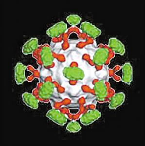 （圖）疾病治療