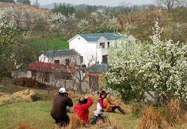 黃林沖村 黃林沖村