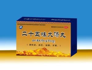 二十五味大湯丸 二十五味大湯丸