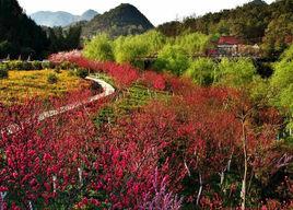 下五屯街道 下五屯街道